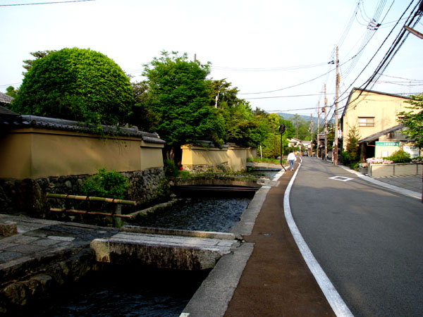 太田神社 カキツバタ満開_e0048413_2150058.jpg