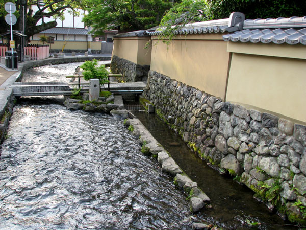 太田神社 カキツバタ満開_e0048413_21502762.jpg