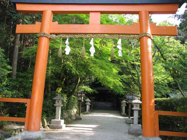 太田神社 カキツバタ満開_e0048413_21511272.jpg