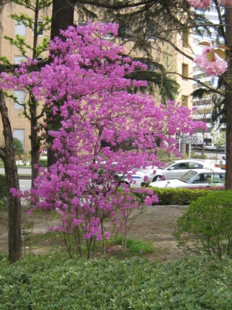 c0165914_1920283.jpg