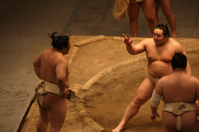b0040615_21415582.gif