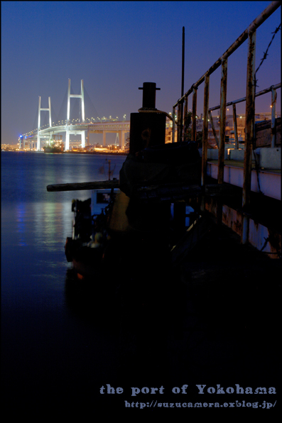 ブルーライトなYOKOHAMA_f0100215_23532077.jpg