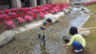 c0033521_177348.jpg
