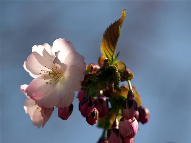 b0171523_21375765.jpg