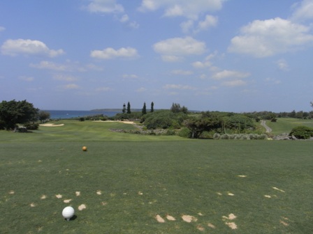 f0182623_22514143.jpg