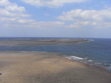 f0182623_2352750.jpg