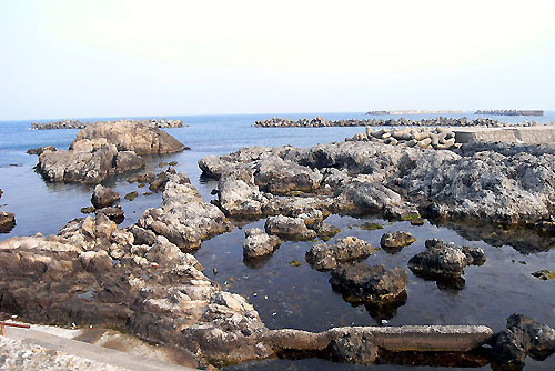 b0044726_14461725.jpg
