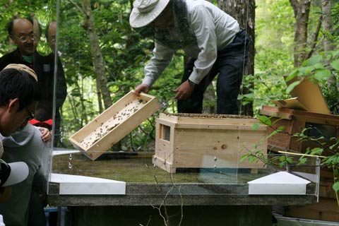 f0177529_6431740.jpg