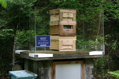 f0177529_6435926.jpg