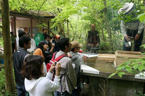 f0177529_6513539.jpg