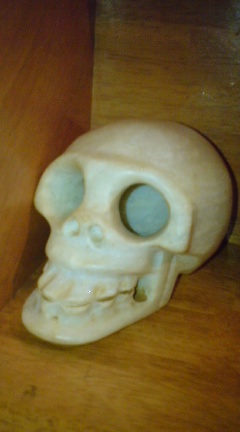 e0069433_311263.jpg