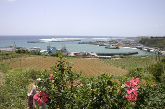 e0041337_11295551.jpg