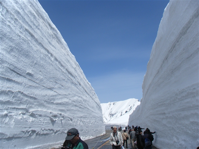 大満喫！！旅行　第３弾　　　立山_b0102639_2326641.jpg