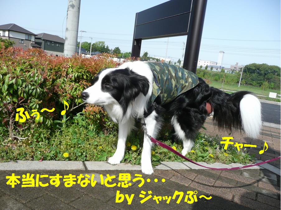 c0147241_94423.jpg