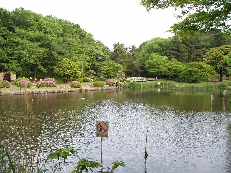 b0082147_23215022.jpg