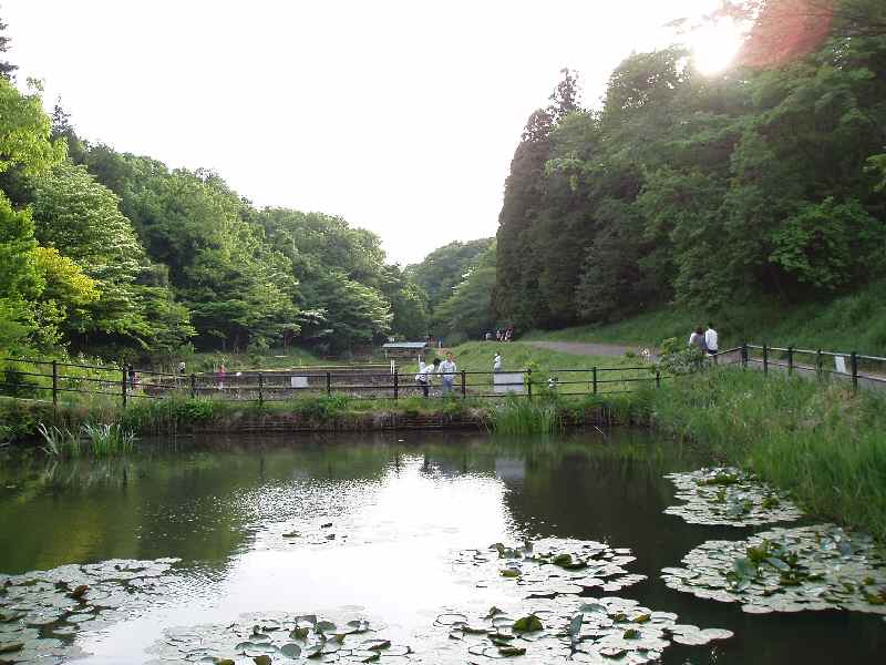 b0082147_23221558.jpg