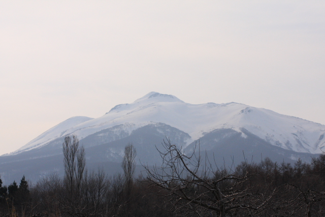 岩木山・大黒沢滑走　2009/4/12_c0008548_2005456.jpg