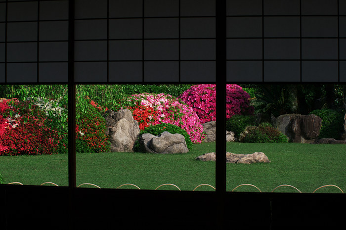 花咲く庭へ(城南宮)_f0155048_23182350.jpg