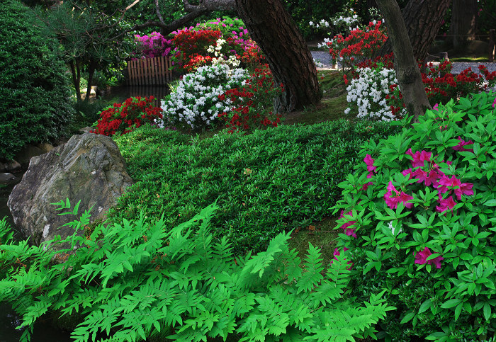 花咲く庭へ(城南宮)_f0155048_23213632.jpg