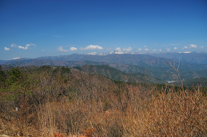 霧訪山（きりとうやま）と花たち_c0050853_19122370.jpg