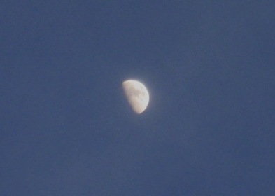 b0173754_1149552.jpg
