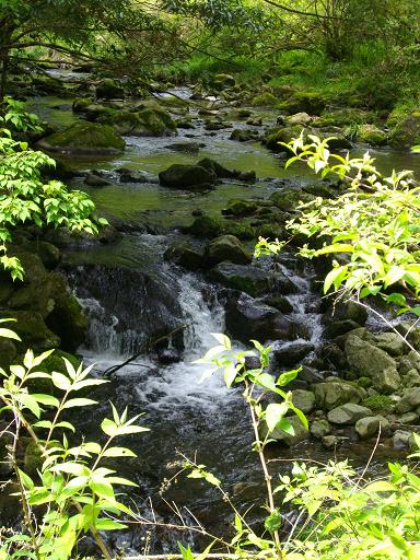 阿東町から長門峡散策を終日楽しみました・・・。_f0113862_1732113.jpg