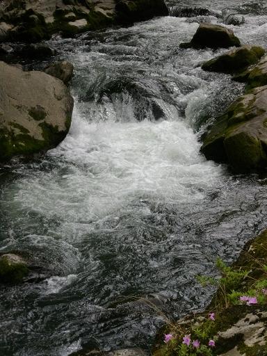 f0113862_17485621.jpg