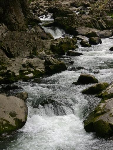 f0113862_1750303.jpg