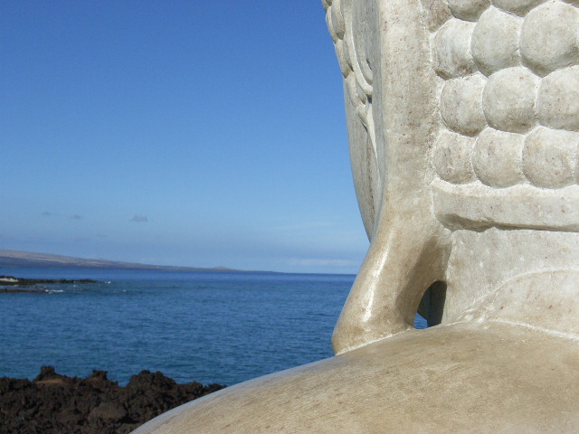 e0152171_16318.jpg