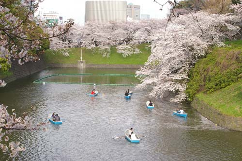 東京で見たこと_e0167077_15302572.jpg