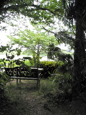 e0156083_13585747.jpg