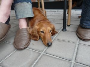 2009年５月３日 穏やかなテラス_b0098584_7261472.jpg