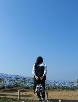 ネモフィラの丘へ。。。& 嬉しいお知らせ。。_c0169287_0133274.jpg