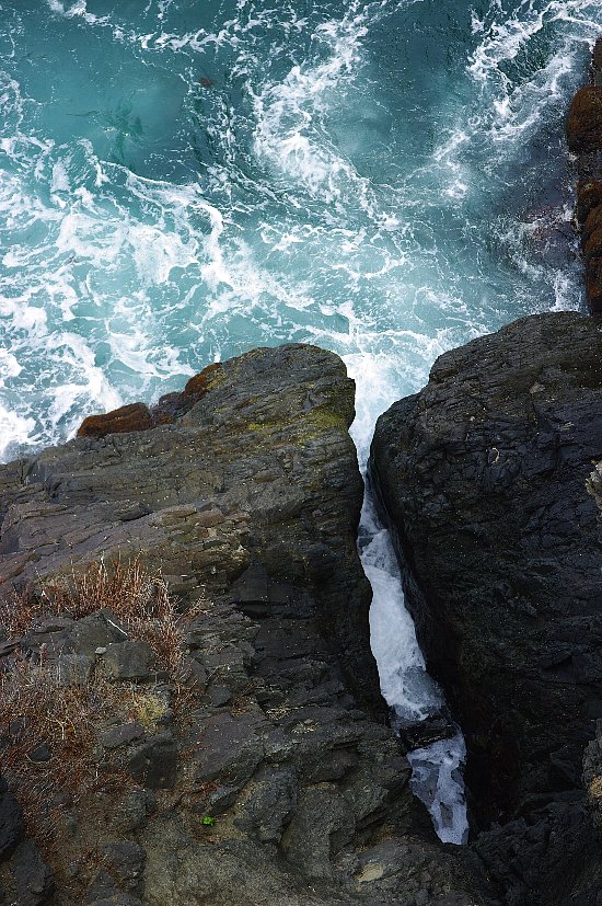 e0128187_526201.jpg