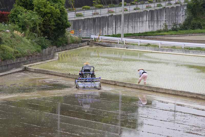 2009.05.05　田植えの季節①　（耕す）　　　　　_f0140087_2327350.jpg