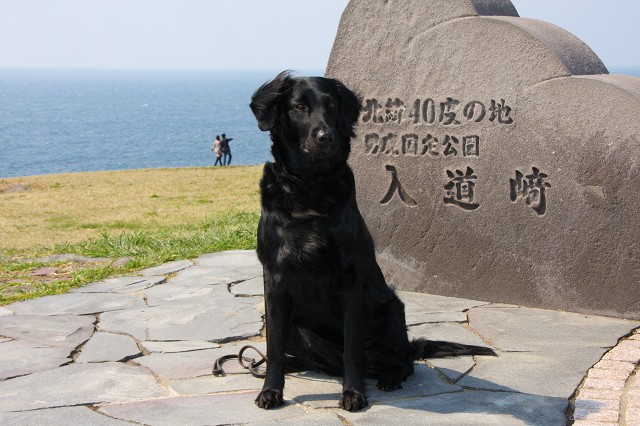 c0174593_1750347.jpg