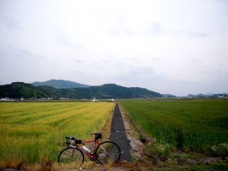 d0010496_014570.jpg