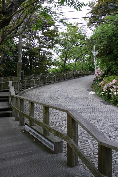 新緑が嬉しい♪火の山_c0198903_1143791.jpg