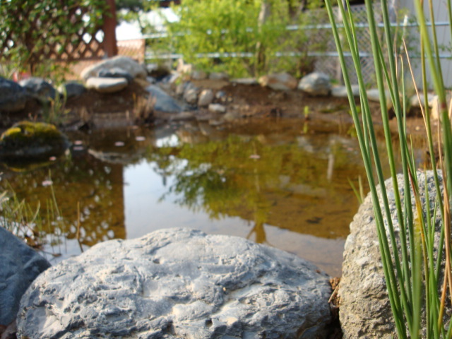 e0175905_2022437.jpg