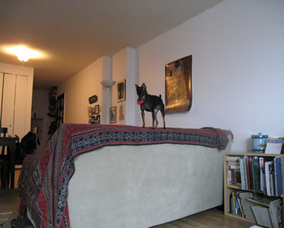 f0033510_22353460.jpg