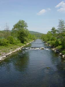 c0047812_417380.jpg