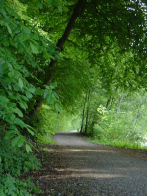 c0047812_432916.jpg