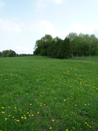 c0167813_17381960.jpg