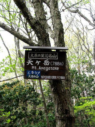 天ヶ岳 シャクナゲ林道_e0048413_23172199.jpg