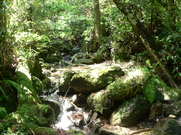 福岡地区　池･川散策　えー･･特には･･_e0002314_18183733.jpg