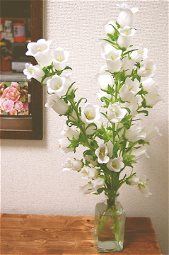 c0111017_21575427.jpg