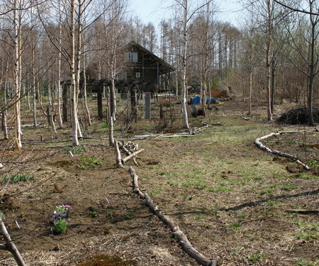 d0143719_1405688.jpg