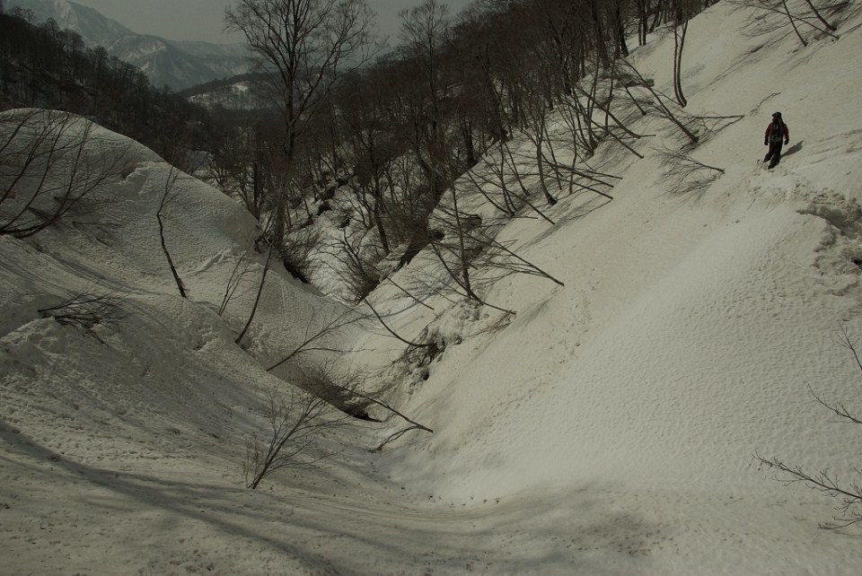 b0062024_8321188.jpg