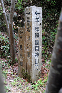 Uターン_e0103024_20455836.jpg