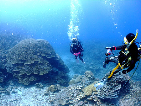 d0107725_21351517.jpg